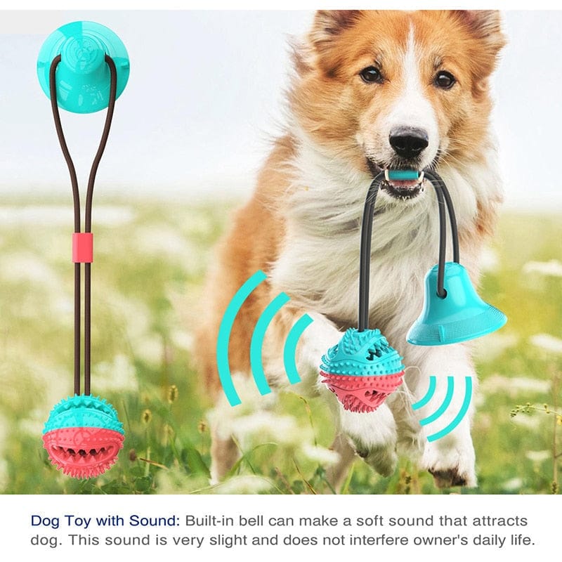 Suction Cup Dog Toy