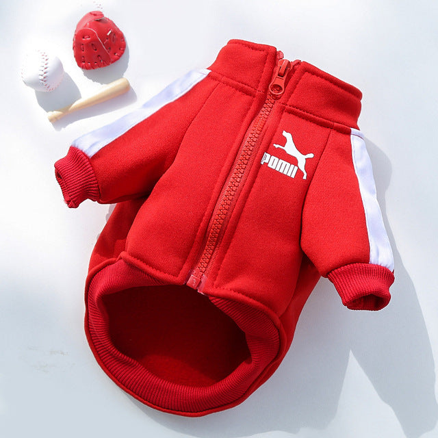 Dog Tracksuit