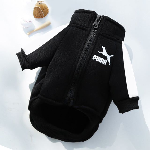 Dog Tracksuit