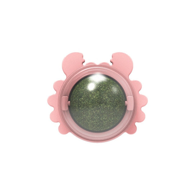 Catnip Ball Toys