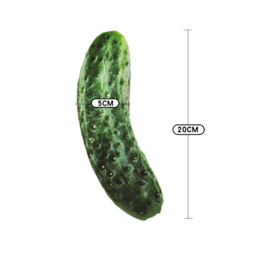 Food Pet Toys