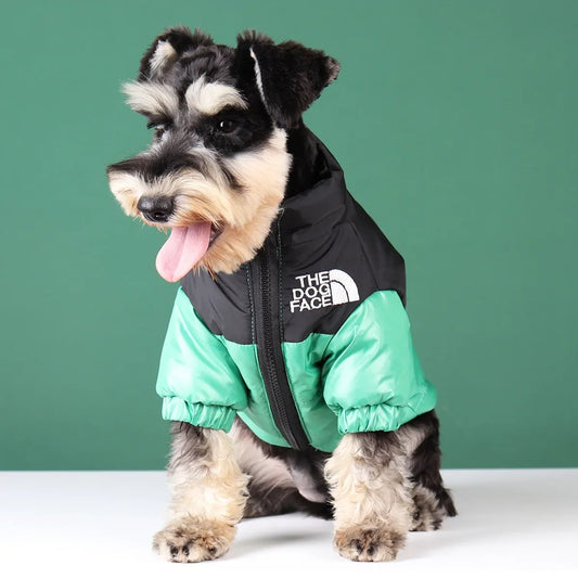 The Dog Face Coat