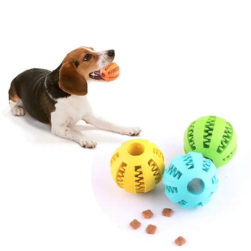 Dental Chew Ball