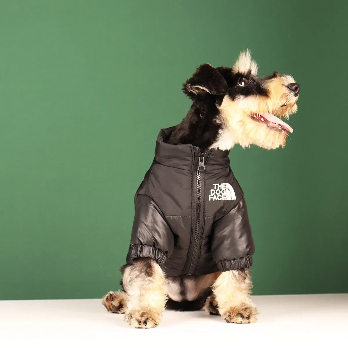 The Dog Face Coat