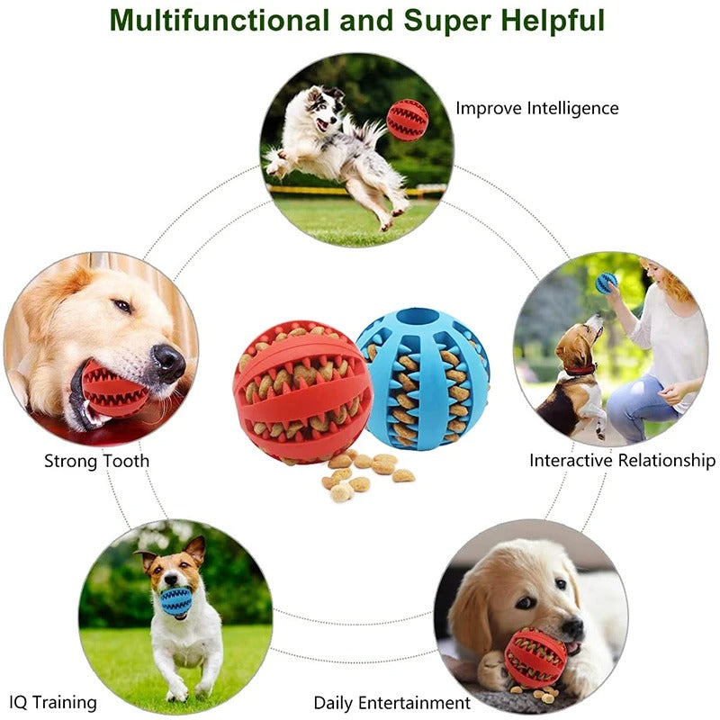 Dental Chew Ball