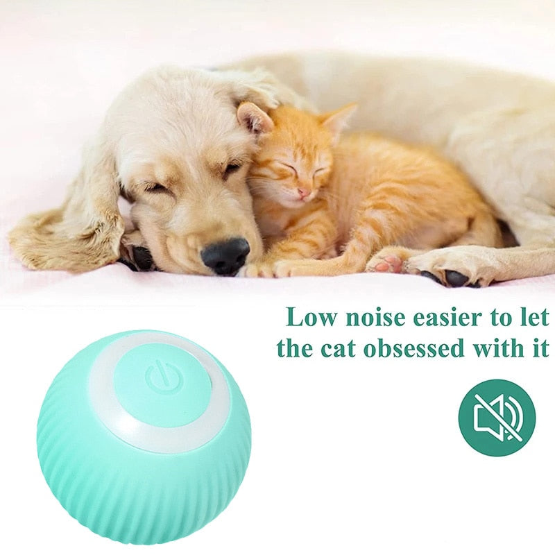 Self-Moving Ball Dog Toy