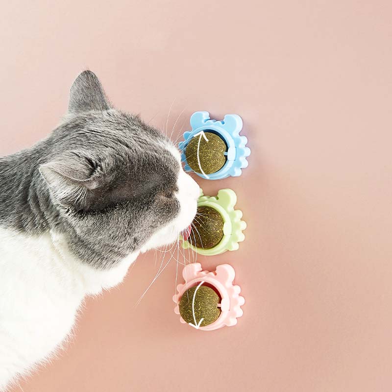 Catnip Ball Toys