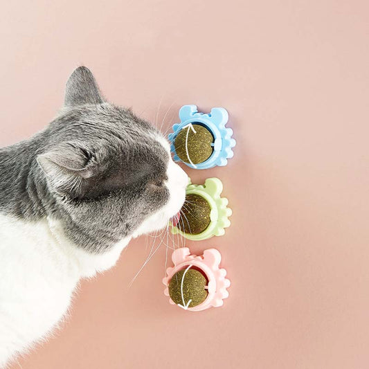 Catnip Ball Toys