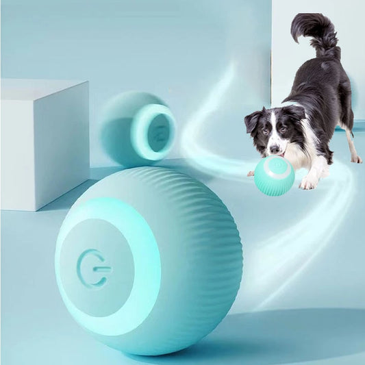 Self-Moving Ball Dog Toy