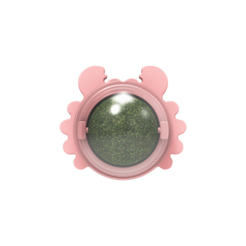 Catnip Ball Toys