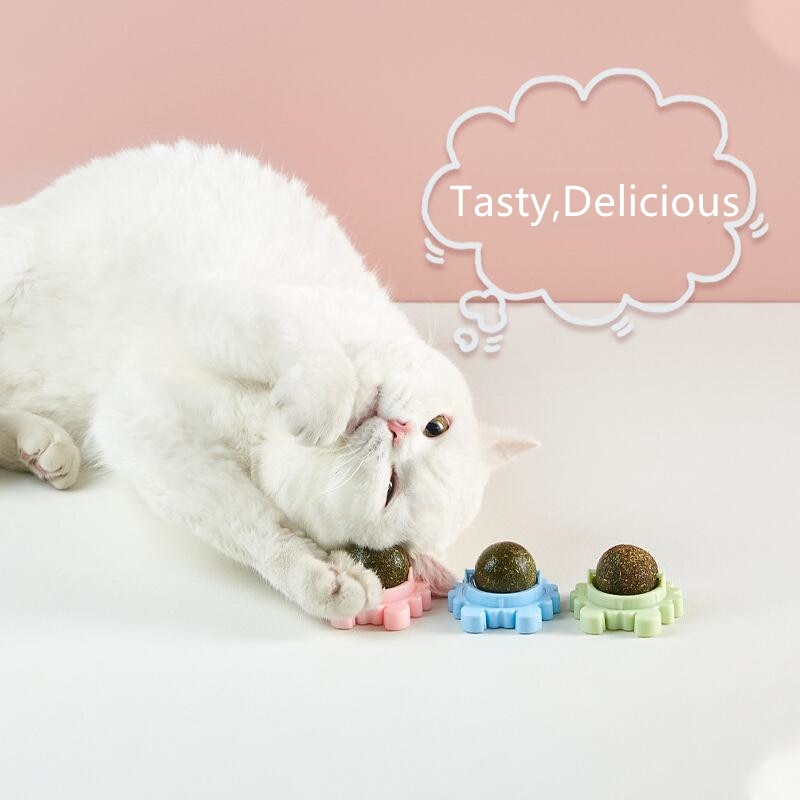 Catnip Ball Toys
