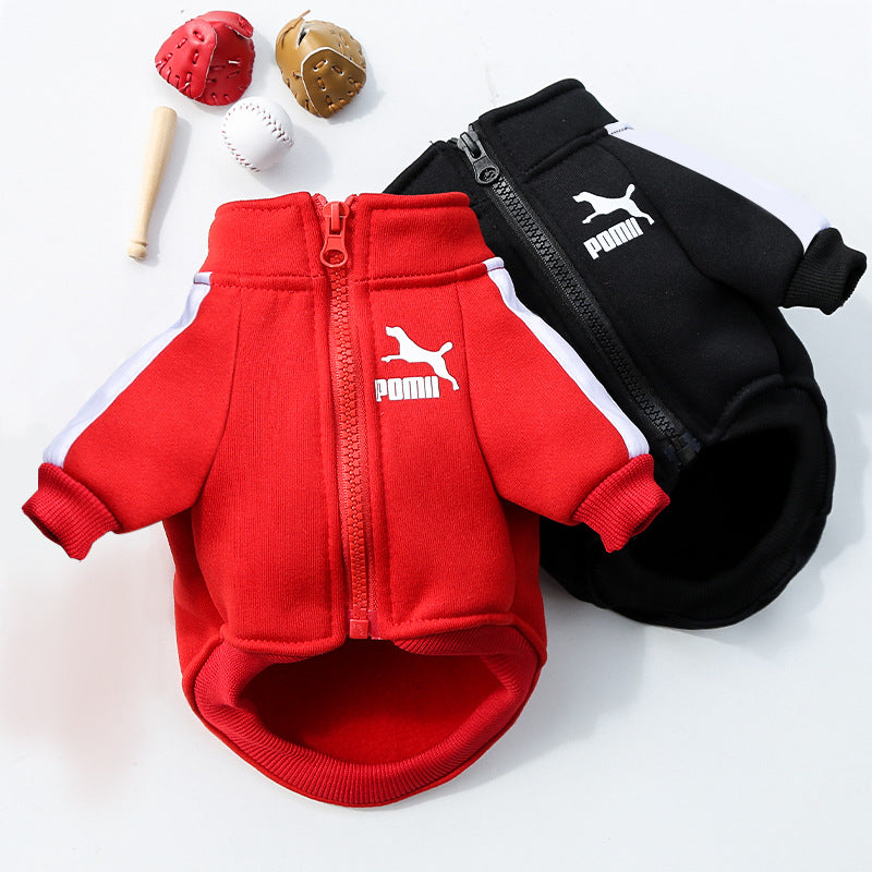 Dog Tracksuit