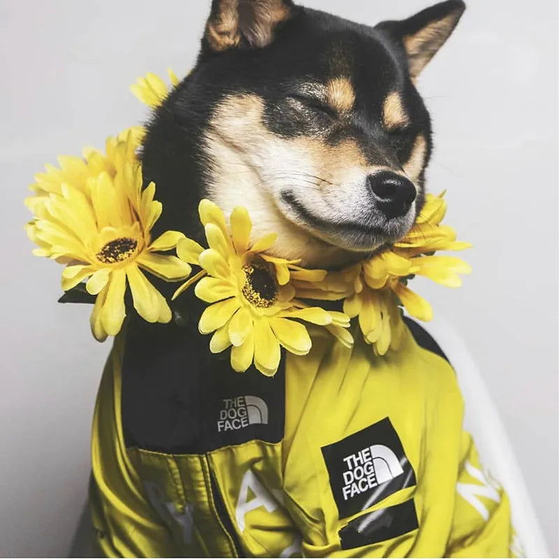Durable Dog Jacket