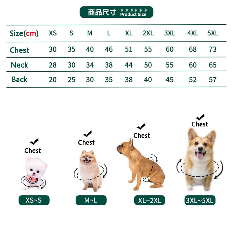 College Style Dog Clothes