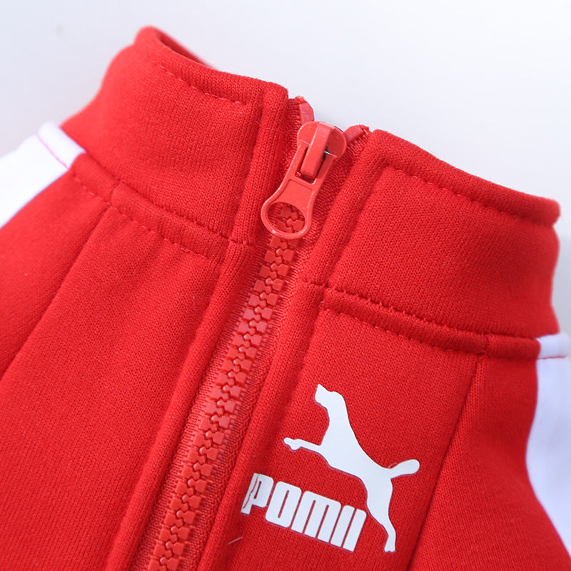 Dog Tracksuit