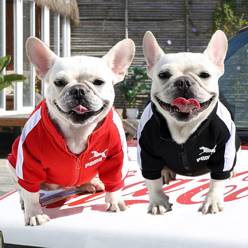 Dog Tracksuit