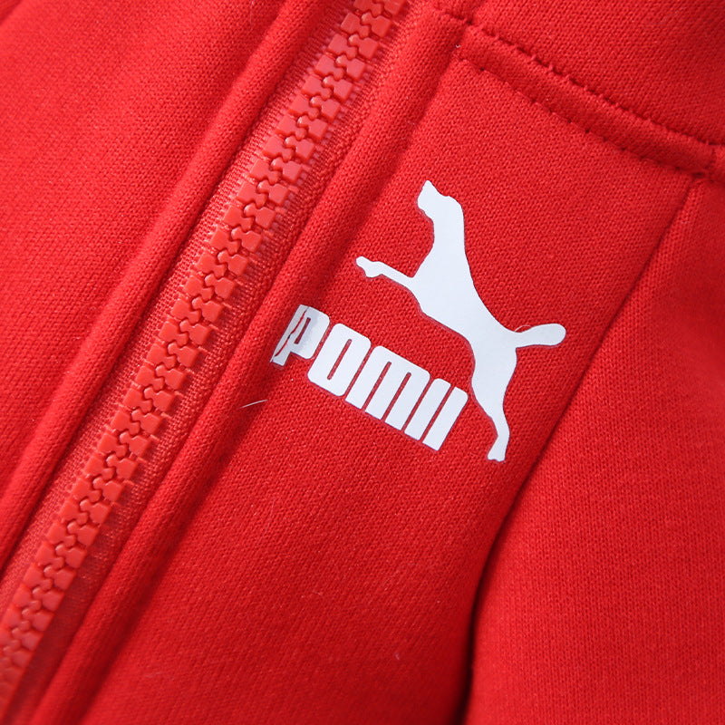 Dog Tracksuit